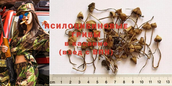 марихуана Абаза