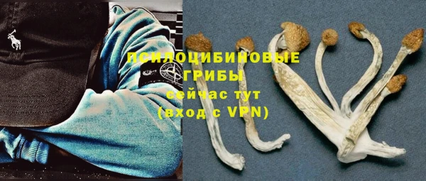 хмурый Абдулино