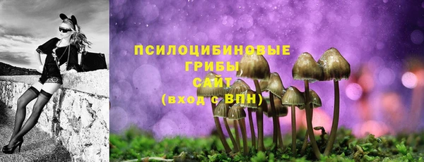 хмурый Абдулино