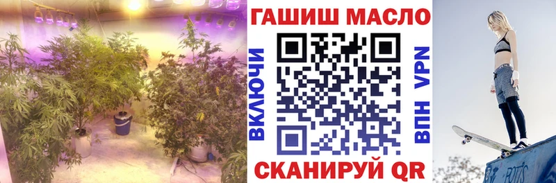цена   Кораблино  ТГК THC oil 